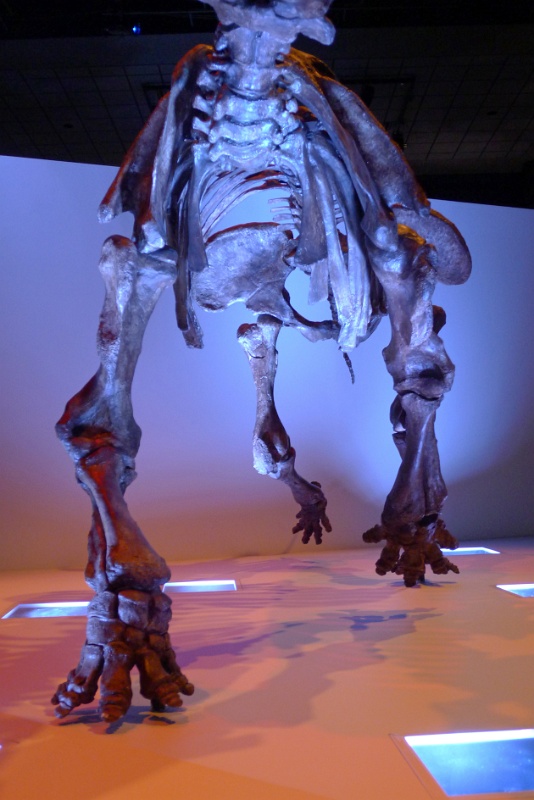 P1140258