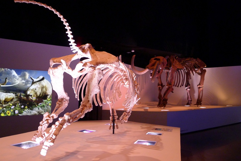 P1140285