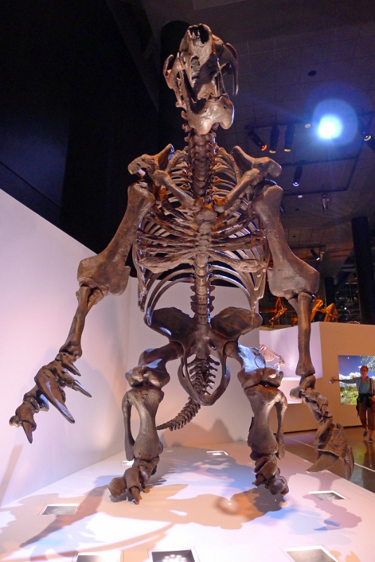 P1140293