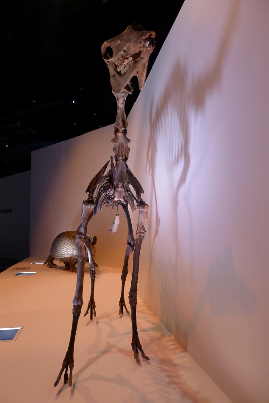 P1140296