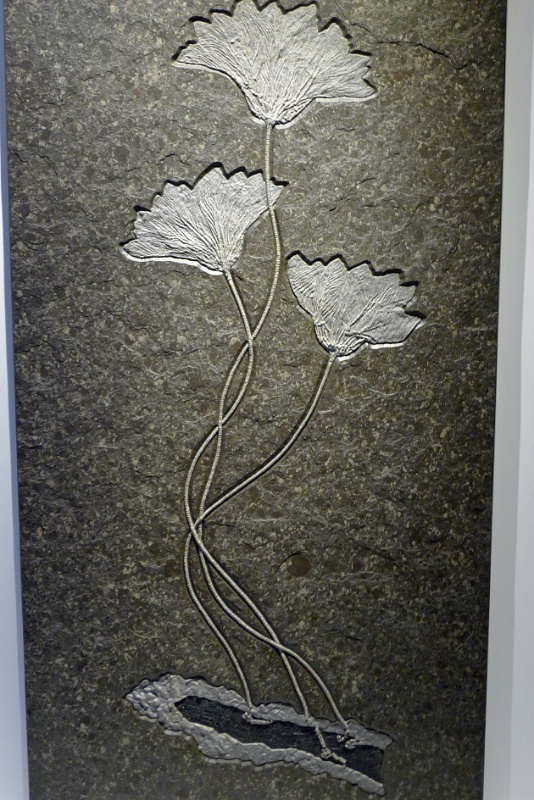 P1140354