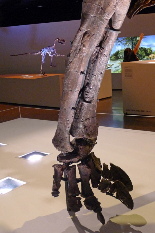 P1140363