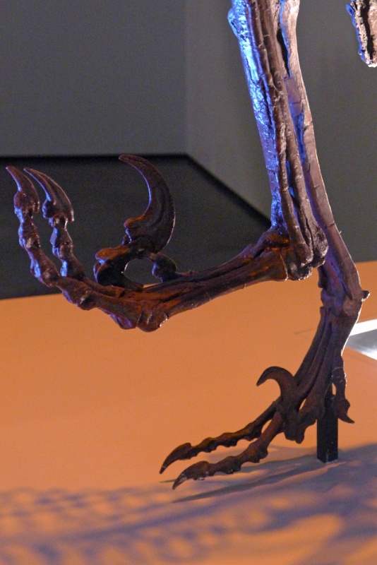 P1140369