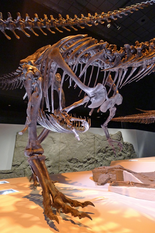 P1140375