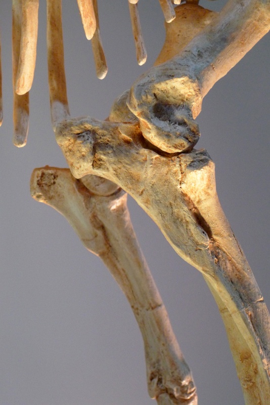 P1140389