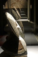  Morian Hall of Paleontology, Houston Museum of Natural Science