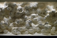  Morian Hall of Paleontology, Houston Museum of Natural Science
