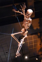  Morian Hall of Paleontology, Houston Museum of Natural Science