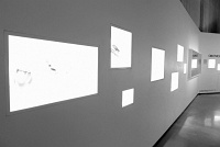  Morian Hall of Paleontology, Houston Museum of Natural Science