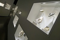  Morian Hall of Paleontology, Houston Museum of Natural Science