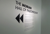  Morian Hall of Paleontology, Houston Museum of Natural Science