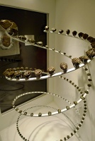  Morian Hall of Paleontology, Houston Museum of Natural Science