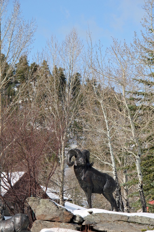 IMG_8861