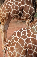  Cheyenne Mountain Zoo, Colorado Springs