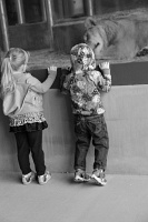  Cheyenne Mountain Zoo, Colorado Springs