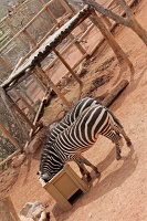  Cheyenne Mountain Zoo, Colorado Springs