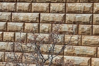  Cheyenne Mountain Zoo, Colorado Springs