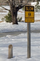  Estes Park, CO