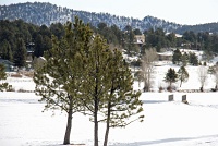  Estes Park, CO