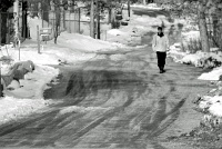 Estes Park, CO