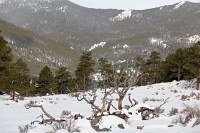 Rocky Mountain National Park