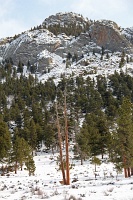  Rocky Mountain National Park