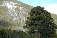  Rocky Mountain National Park