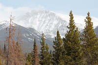  Rocky Mountain National Park