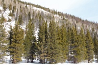  Rocky Mountain National Park