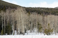 Rocky Mountain National Park
