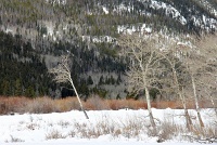  Rocky Mountain National Park