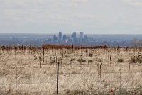  Downtown Denver, CO