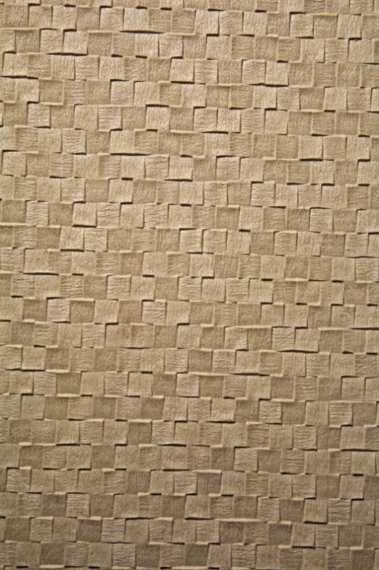 IMG_7405