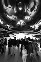  Cloud Gate, Millenium Park