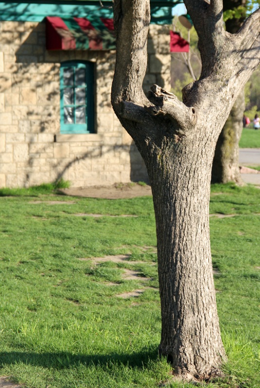 IMG_0709