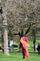 Sari Retreat, Niagara Falls State Park