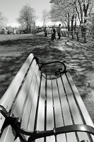  Niagara Falls State Park