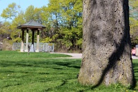  Niagara Falls State Park