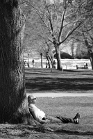  Propped Up, Niagara Falls State Park