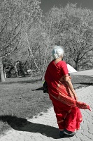   Lady in Red, Niagara Falls State Park