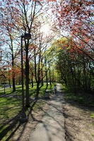  Goat Island