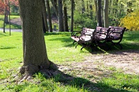  Goat Island