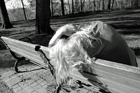  Beyond the Pale Contortion, Goat Island