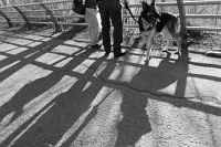  Shadow Walk, Goat Island