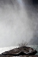  Niagara Falls