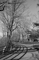  Goat Island
