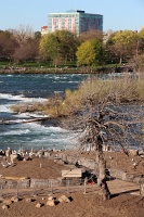  Niagara Falls State Park