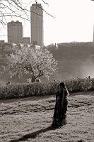  Gazing in the Grass, Niagara Falls State Park