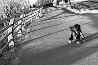  Crawl Before You Walk, Niagara Falls State Park