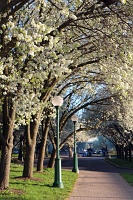  Niagara Falls State Park